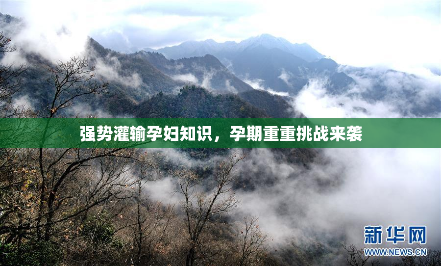 强势灌输孕妇知识，孕期重重挑战来袭