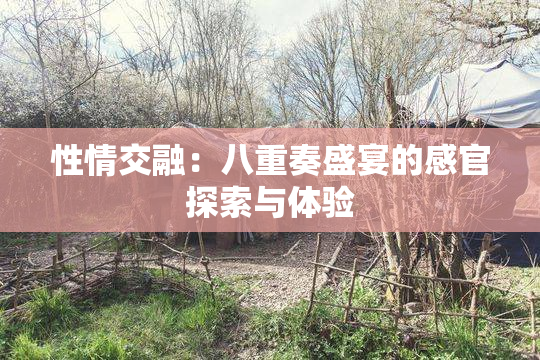 性情交融：八重奏盛宴的感官探索与体验
