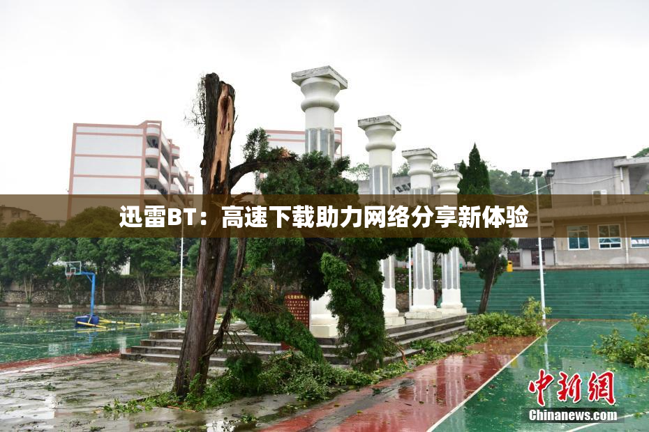 迅雷BT：高速下载助力网络分享新体验
