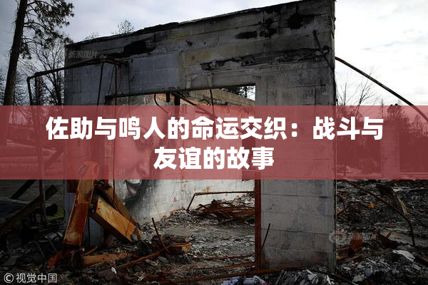 佐助与鸣人的命运交织：战斗与友谊的故事