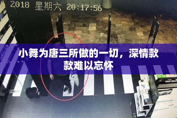 小舞为唐三所做的一切，深情款款难以忘怀