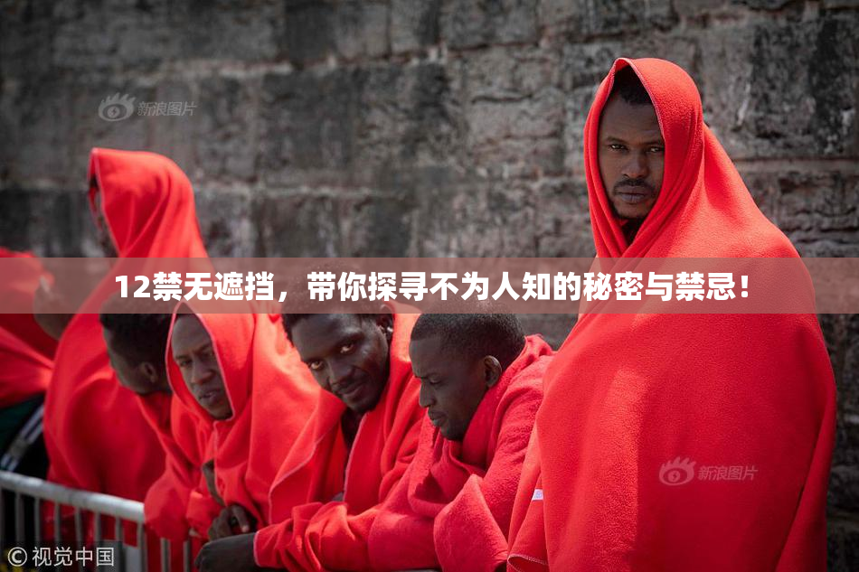 12禁无遮挡，带你探寻不为人知的秘密与禁忌！