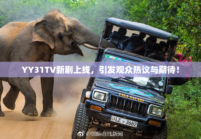 YY31TV新剧上线，引发观众热议与期待！