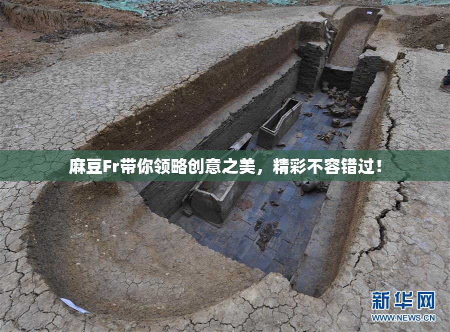麻豆Fr带你领略创意之美，精彩不容错过！