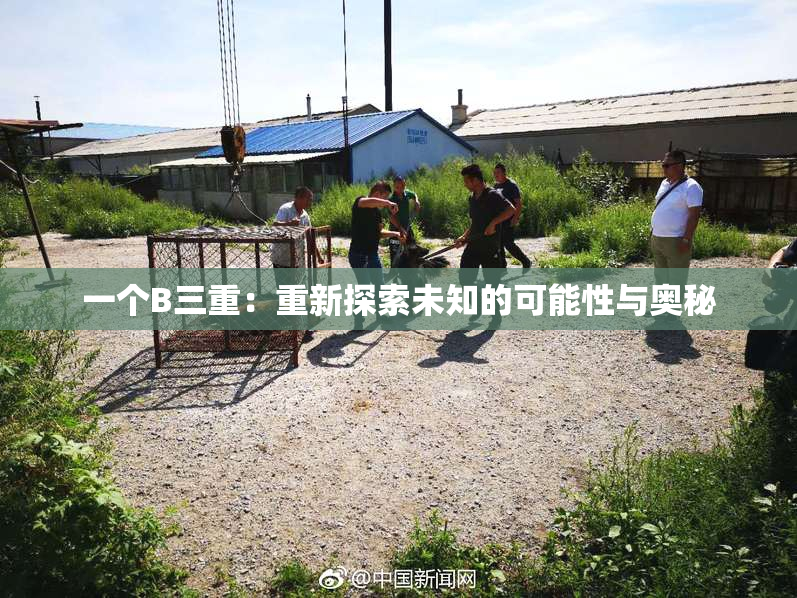 一个B三重：重新探索未知的可能性与奥秘