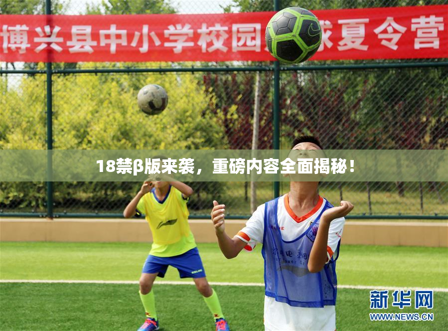 18禁β版来袭，重磅内容全面揭秘！