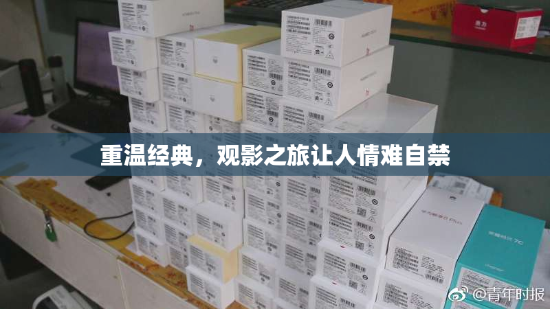 重温经典，观影之旅让人情难自禁