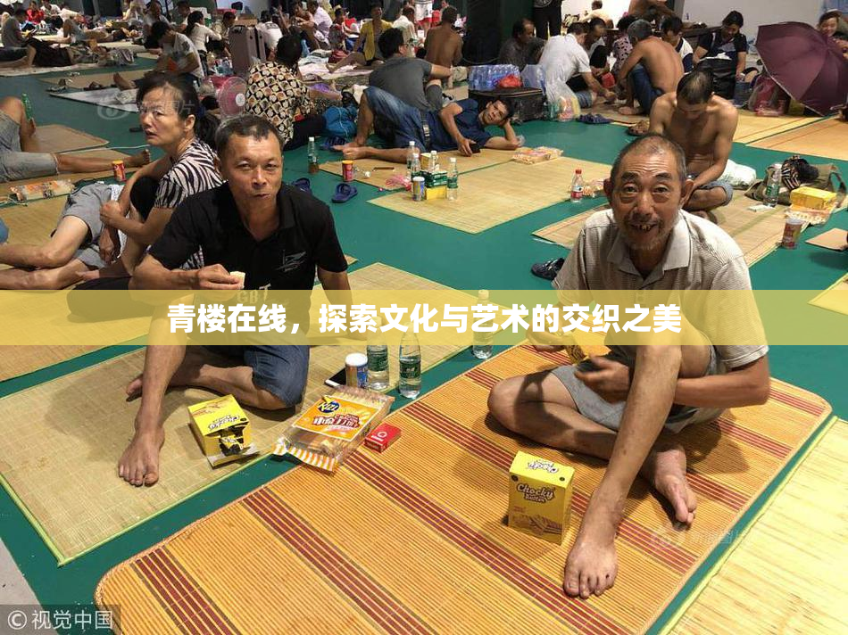 青楼在线，探索文化与艺术的交织之美