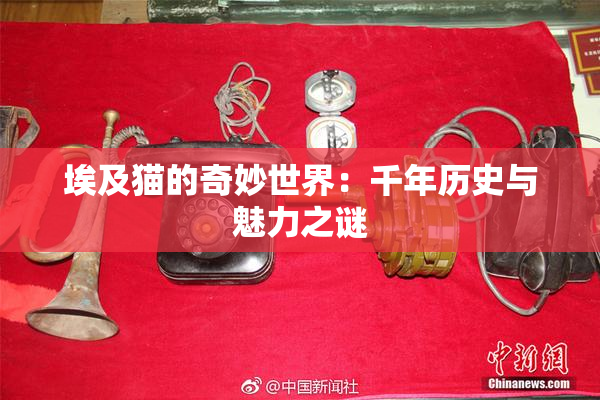 埃及猫的奇妙世界：千年历史与魅力之谜