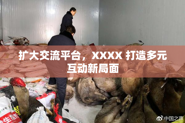 扩大交流平台，XXXX 打造多元互动新局面