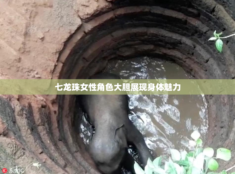 七龙珠女性角色大胆展现身体魅力