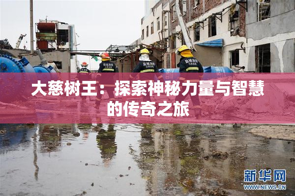 大慈树王：探索神秘力量与智慧的传奇之旅
