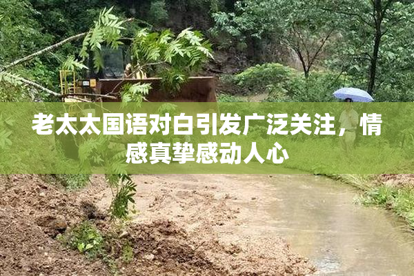 老太太国语对白引发广泛关注，情感真挚感动人心