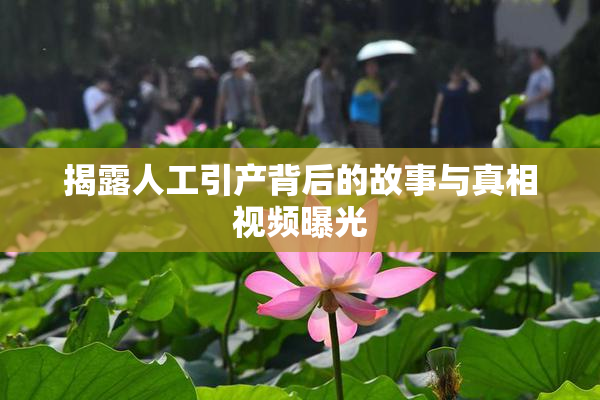 揭露人工引产背后的故事与真相视频曝光