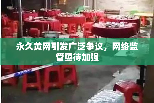 永久黄网引发广泛争议，网络监管亟待加强