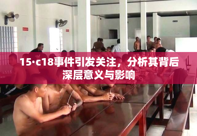 15·c18事件引发关注，分析其背后深层意义与影响