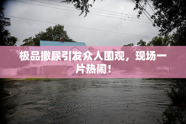 极品撒尿引发众人围观，现场一片热闹！