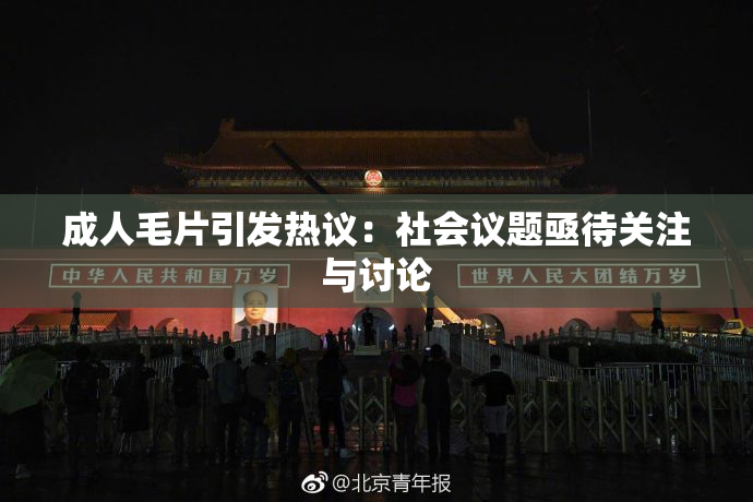 成人毛片引发热议：社会议题亟待关注与讨论