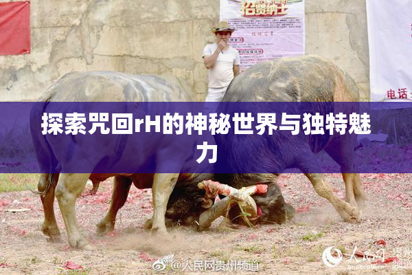 探索咒回rH的神秘世界与独特魅力