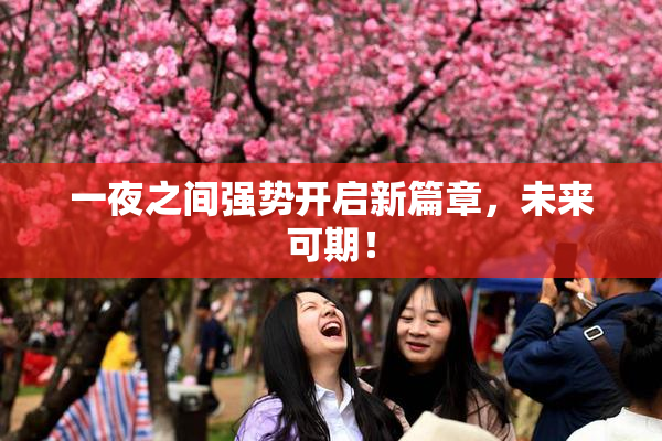 一夜之间强势开启新篇章，未来可期！