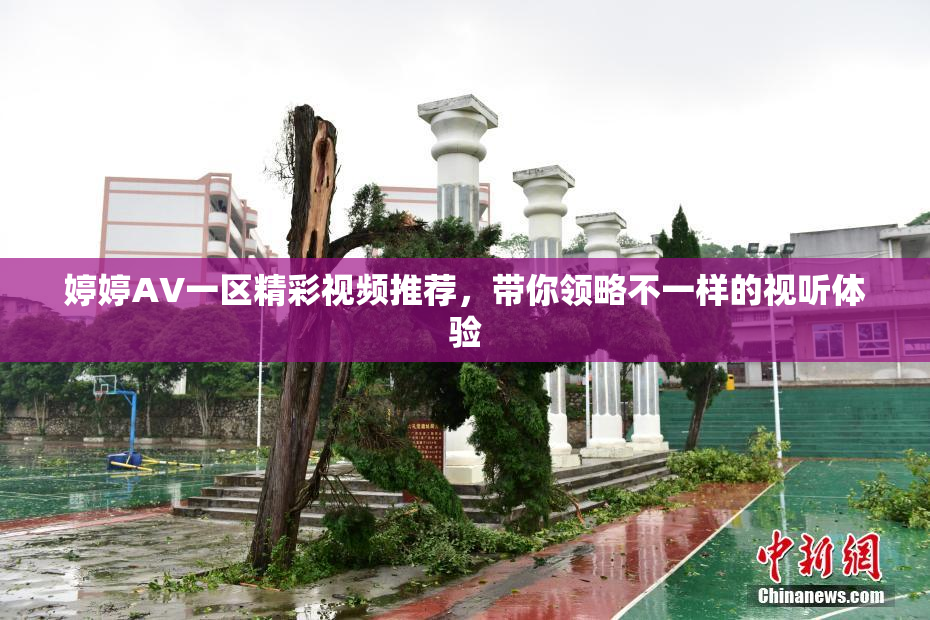 婷婷AV一区精彩视频推荐，带你领略不一样的视听体验