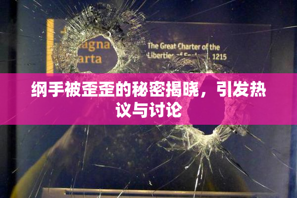 纲手被歪歪的秘密揭晓，引发热议与讨论