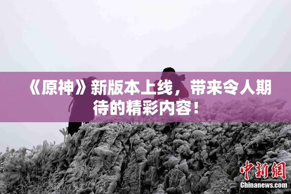《原神》新版本上线，带来令人期待的精彩内容！