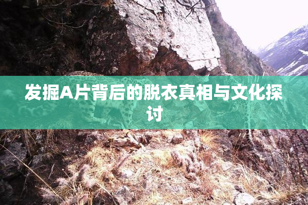 发掘A片背后的脱衣真相与文化探讨