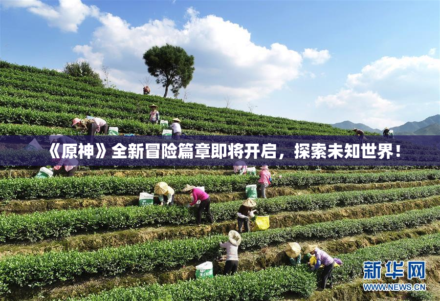 《原神》全新冒险篇章即将开启，探索未知世界！