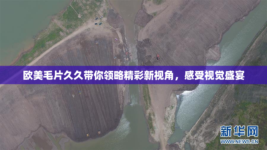 欧美毛片久久带你领略精彩新视角，感受视觉盛宴