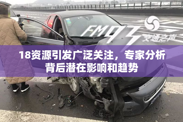 18资源引发广泛关注，专家分析背后潜在影响和趋势