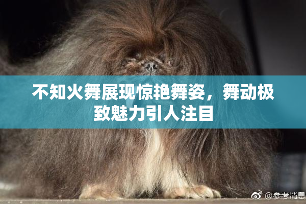 不知火舞展现惊艳舞姿，舞动极致魅力引人注目