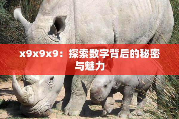 x9x9x9：探索数字背后的秘密与魅力