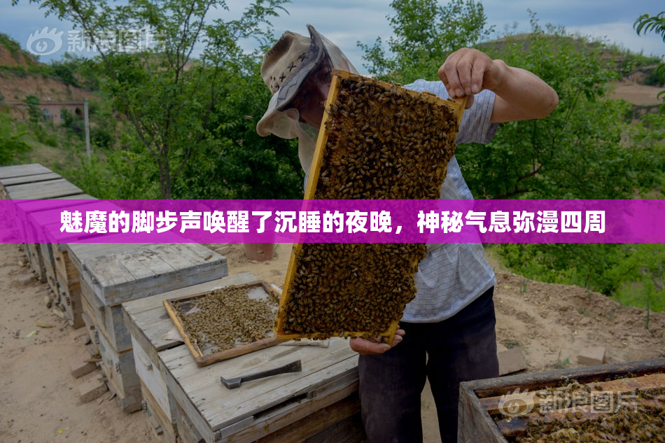 魅魔的脚步声唤醒了沉睡的夜晚，神秘气息弥漫四周