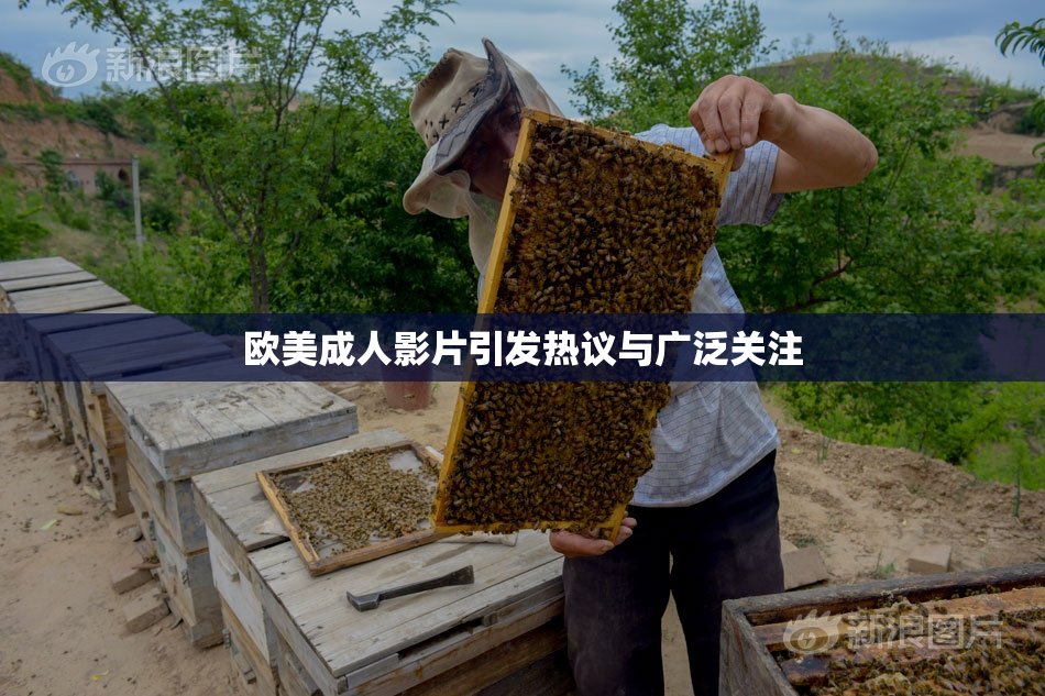 欧美成人影片引发热议与广泛关注