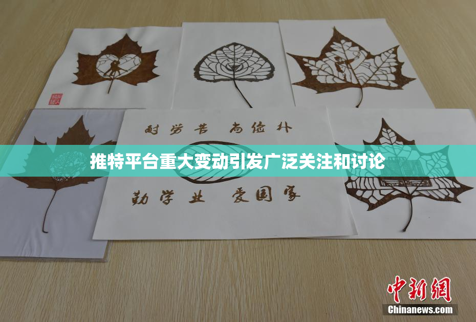 推特平台重大变动引发广泛关注和讨论