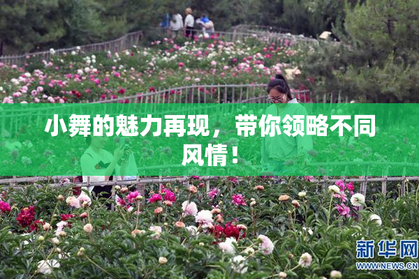 小舞的魅力再现，带你领略不同风情！