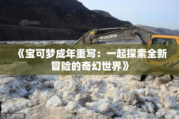 《宝可梦成年重写：一起探索全新冒险的奇幻世界》