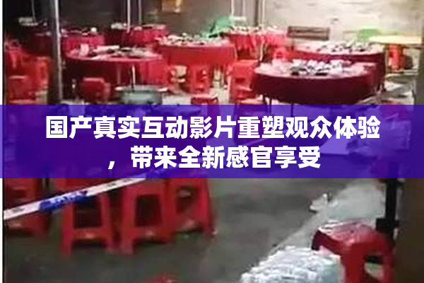 国产真实互动影片重塑观众体验，带来全新感官享受