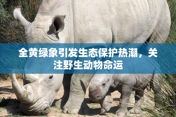 全黄绿象引发生态保护热潮，关注野生动物命运