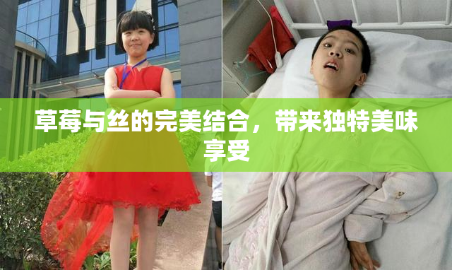 草莓与丝的完美结合，带来独特美味享受