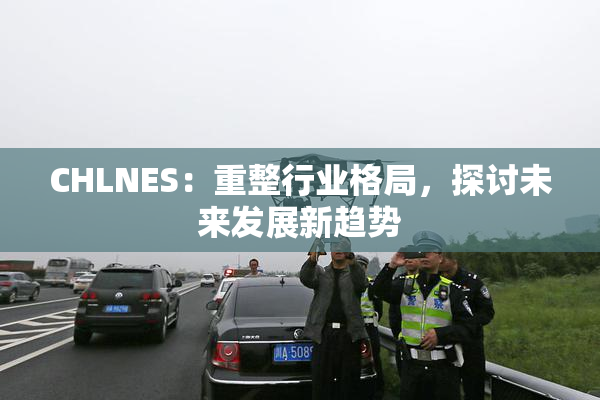 CHLNES：重整行业格局，探讨未来发展新趋势
