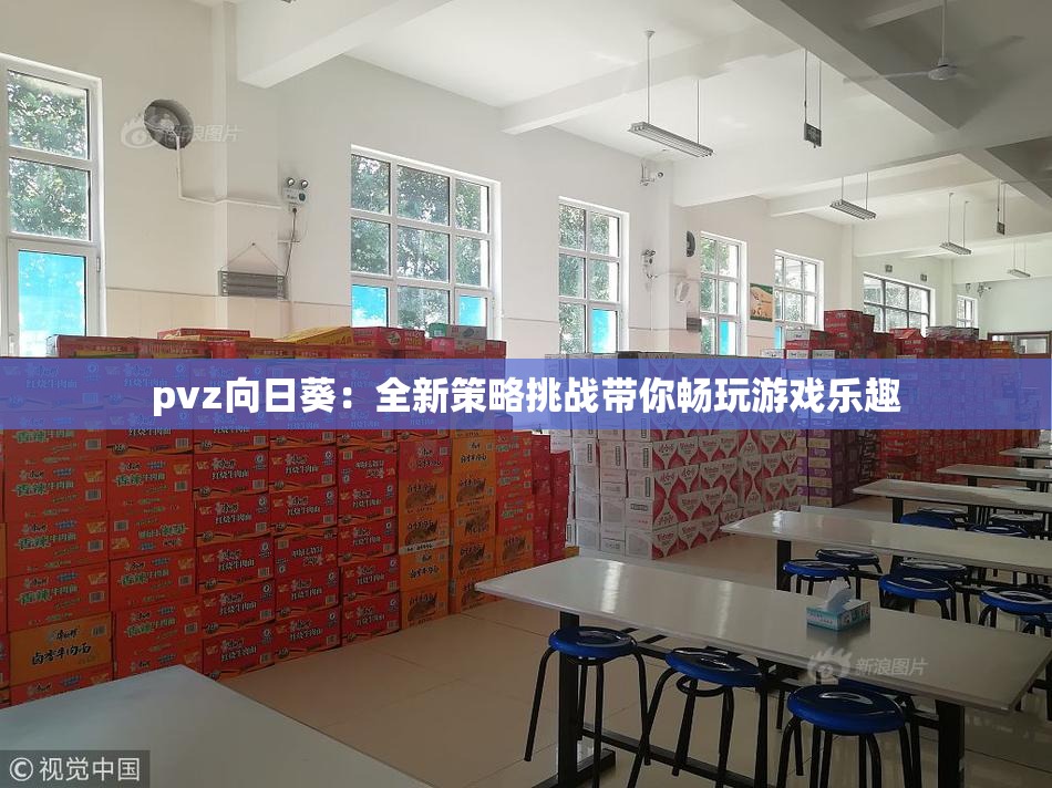 pvz向日葵：全新策略挑战带你畅玩游戏乐趣