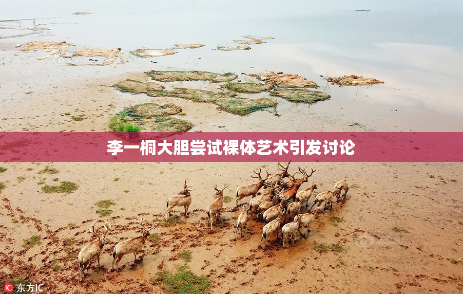 李一桐大胆尝试裸体艺术引发讨论