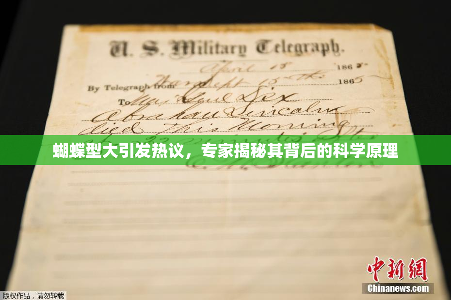 蝴蝶型大引发热议，专家揭秘其背后的科学原理