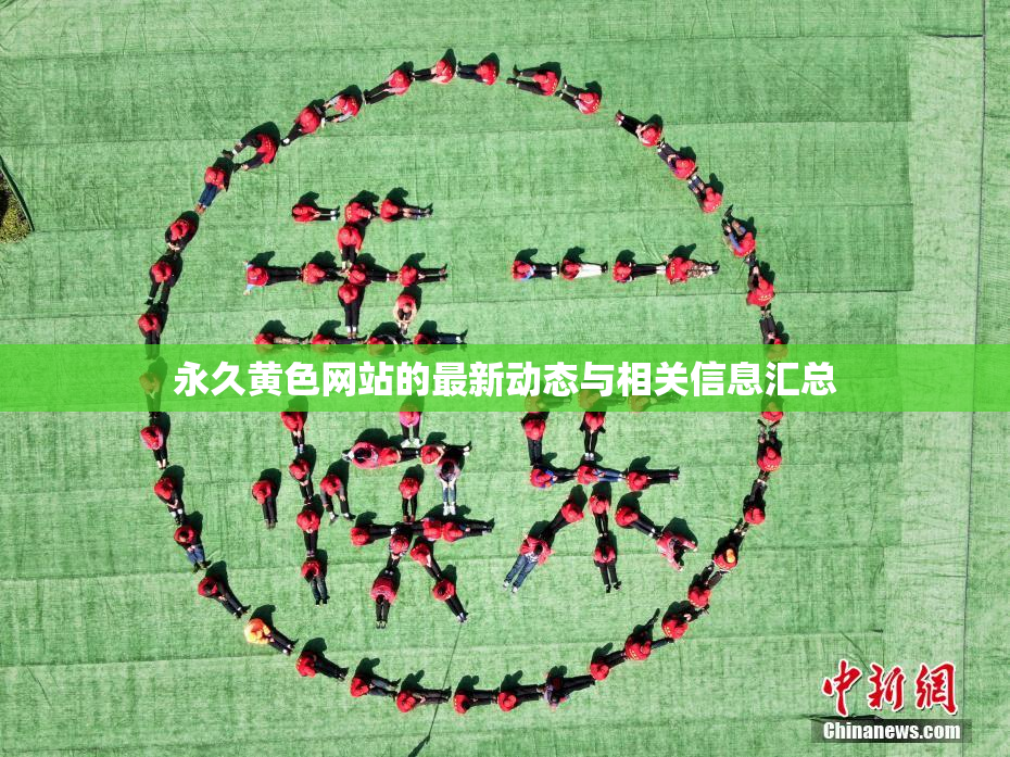 永久黄色网站的最新动态与相关信息汇总