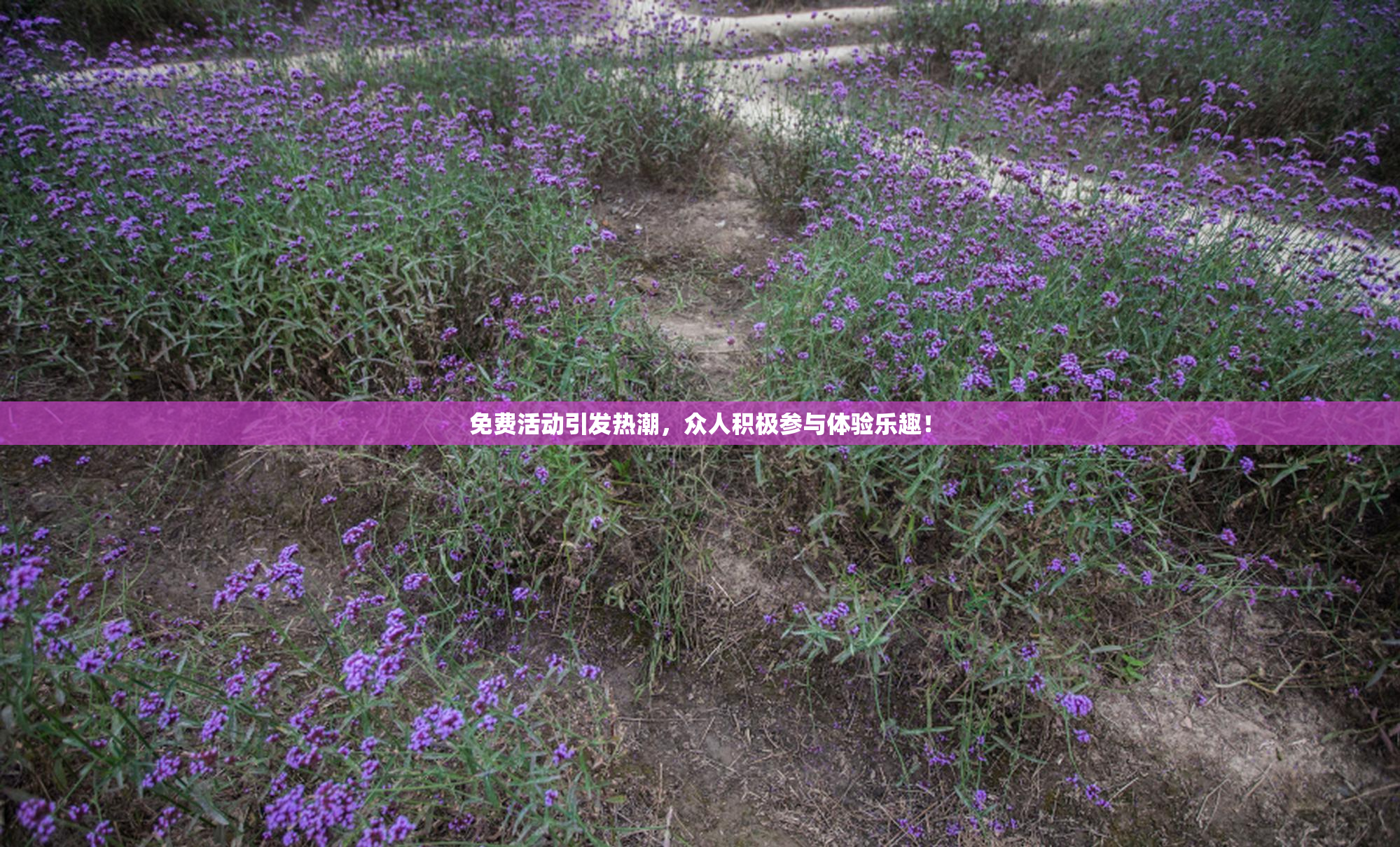 免费活动引发热潮，众人积极参与体验乐趣！