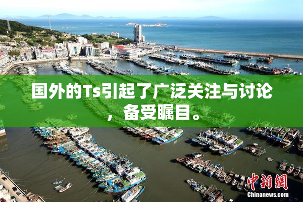 国外的Ts引起了广泛关注与讨论，备受瞩目。
