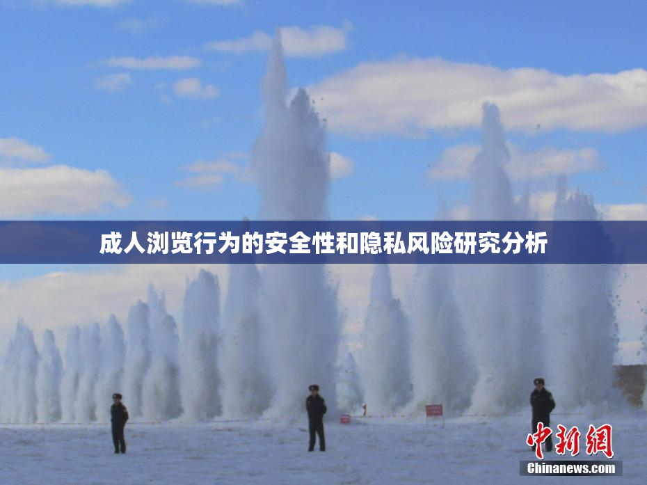 成人浏览行为的安全性和隐私风险研究分析