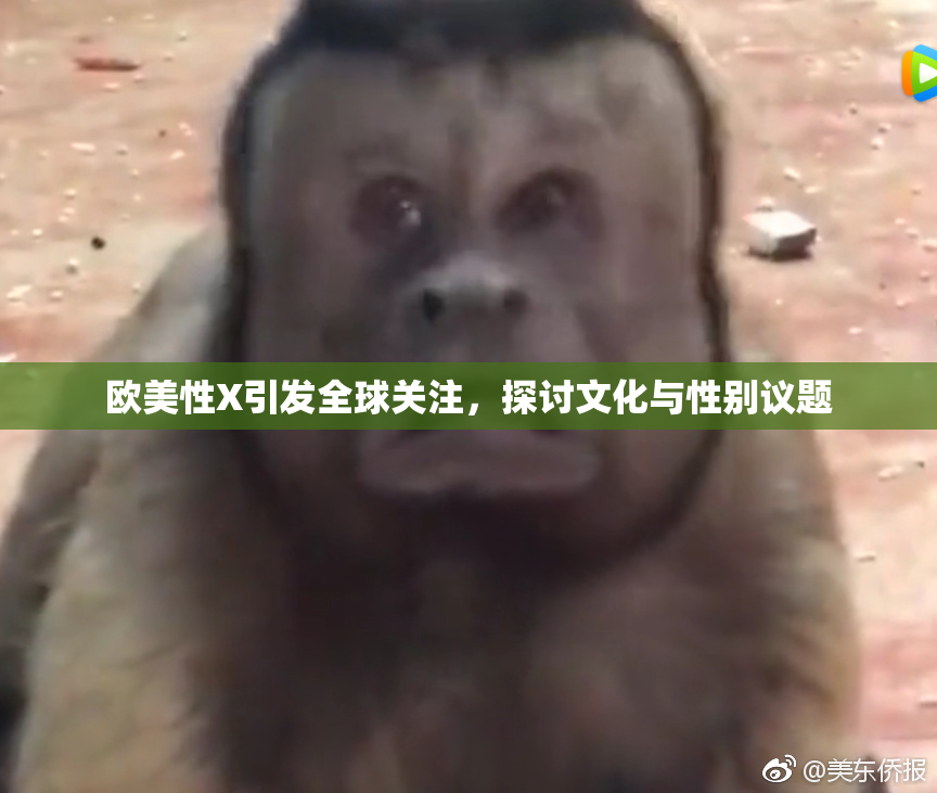 欧美性X引发全球关注，探讨文化与性别议题